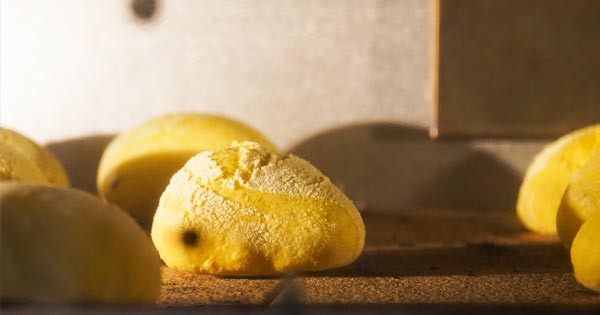 Pane di nostra produzione